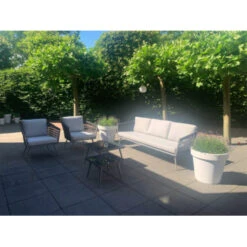 Lacq Tuintextiel Beschermer 500 Ml -Tuinartikelen Winkel 123 1031