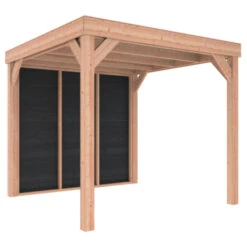 Overkapping Douglas Hout Zwart Met Achterwand 270x270 Cm