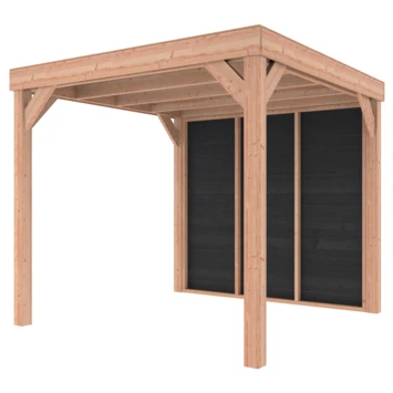 Overkapping Douglas Hout Zwart met Achterwand 270x270 cm Overkapping Douglas Hout Zwart Met Achterwand 270x270 Cm -Tuinartikelen Winkel 123 1902