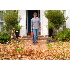 SKIL 40V Bladblazer 0380CA Brushless (zonder Accu) -Tuinartikelen Winkel 123 2061