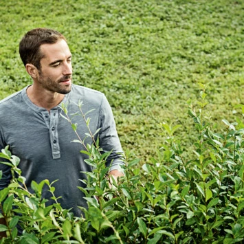 Bosch 18V heggenschaar AHS 50-20 (zonder accu) Bosch 18V Heggenschaar AHS 50-20 (zonder Accu) -Tuinartikelen Winkel 123 2248