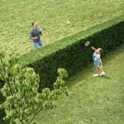 Bosch 18V Heggenschaar AHS 50-20 (zonder Accu) 10 Bosch 18V Heggenschaar AHS 50-20 (zonder Accu) -Tuinartikelen Winkel 123 2249