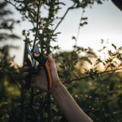 Fiskars Snoeischaar P721 4 Fiskars Snoeischaar P721 -Tuinartikelen Winkel 123 3743