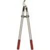 Felco Takkenschaar F220 -Tuinartikelen Winkel 123 3963