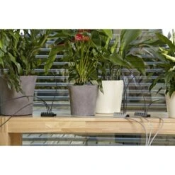 Tuinartikelen Winkel -Tuinartikelen Winkel 123 419