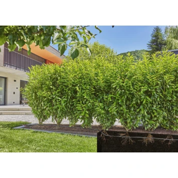 Gardena Micro Drip druppelbuis 50 meter ondergronds en bovengronds Gardena Micro Drip Druppelbuis 50 Meter Ondergronds En Bovengronds -Tuinartikelen Winkel 123 428