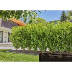 Gardena Micro Drip Startset Struik/haag 25 Meter 4 Gardena Micro Drip Startset Struik/haag 25 Meter -Tuinartikelen Winkel 123 474