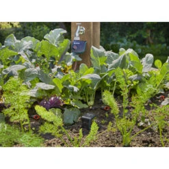 Gardena Smart Sensor Control Set 6 Gardena Smart Sensor Control Set -Tuinartikelen Winkel 123 521