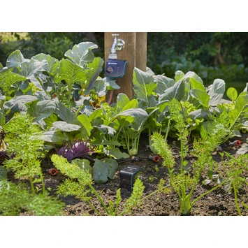 Gardena Smart Sensor Control set Gardena Smart Sensor Control Set -Tuinartikelen Winkel 123 521