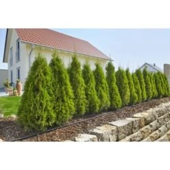 Gardena Micro Drip Startset M Voor Rijplanten (excl Timer) -Tuinartikelen Winkel 123 67