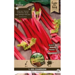 Vergeten Groentenpakket -Tuinartikelen Winkel 123 867