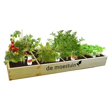 Moestuin Groenten: Mini tomaten, Rucola, Parijse worteltjes en Tuinkers Moestuin Groenten: Mini Tomaten, Rucola, Parijse Worteltjes En Tuinkers -Tuinartikelen Winkel 123 872