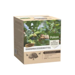 Pokon Eiken Processiemotval -Tuinartikelen Winkel 123 938